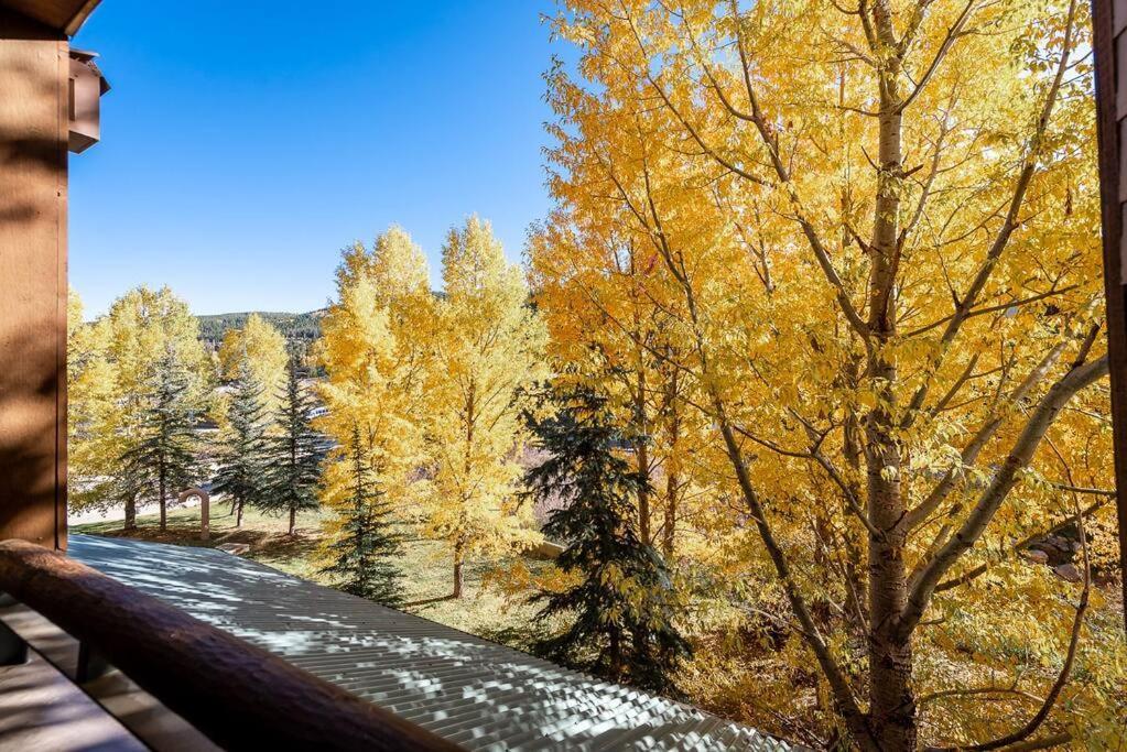 Ski-In/Ski-Out Zephyr 1 Bedroom Condo Winter Park Ngoại thất bức ảnh