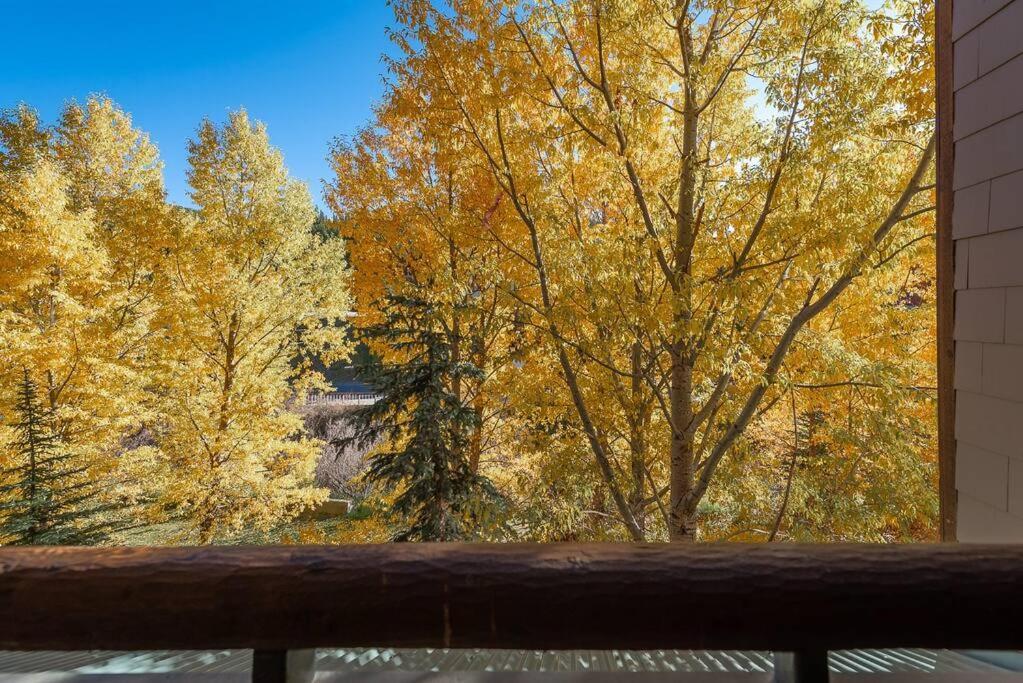 Ski-In/Ski-Out Zephyr 1 Bedroom Condo Winter Park Ngoại thất bức ảnh